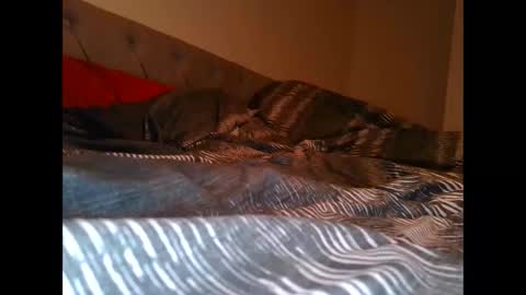 alwaysdownforwhatev online show from October 2025 04:40:02 AM