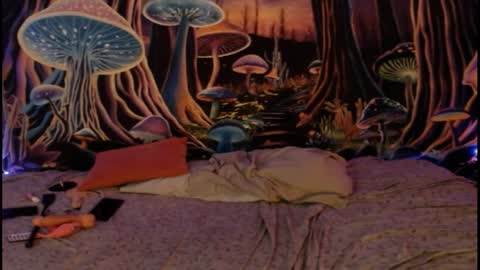 alyssaarcane online show from April 2026 12:55:01 AM