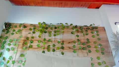 Snapshot of alyssia_oceann chatting on February 2025 03:38:01 PM alyssia online show from February 2025 03:38:01 PM