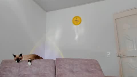 Tammy online show from February 2025 08:54:01 PM