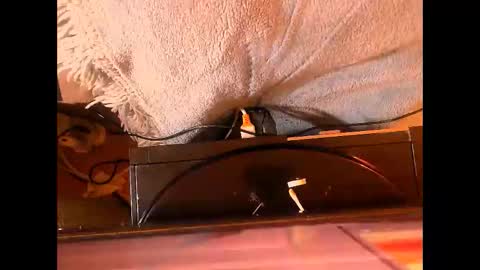 amazingmelons online show from May 2026 05:10:02 PM