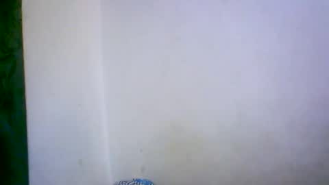 ambar166 online show from December 2025 11:00:02 PM