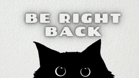 AmbarSantany  online show from January 2025 12:05:01 AM