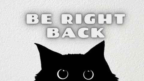 AmbarSantany  online show from February 2025 12:28:01 AM