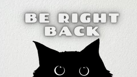 AmbarSantany  online show from March 2025 12:10:02 AM