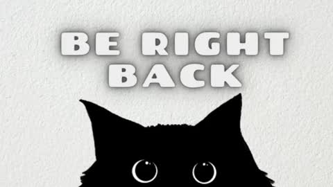 AmbarSantany  online show from March 2025 11:49:01 PM