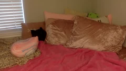 Amber 3 online show from September 2025 03:22:02 PM