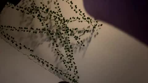 AmberIsPurple online show from December 2024 04:04:01 AM