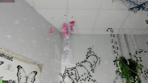 Ameli online show from February 2026 02:29:02 AM