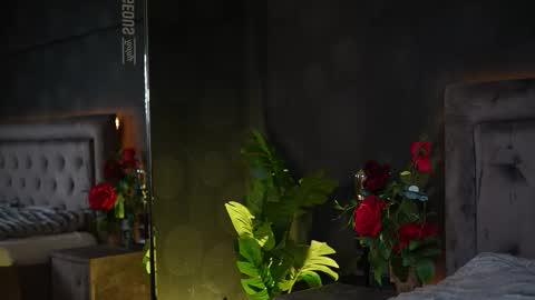  Amelia  online show from November 2025 06:13:01 AM