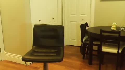 HOT white  naughty leo  xxx online show from January 2025 06:16:01 PM