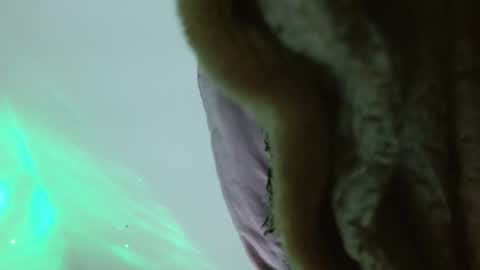 Ambaar online show from February 2026 11:09:01 PM