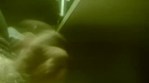 Snapshot of amolafica12 chatting on November 2025 08:03:01 AM amolafica12 online show from November 2025 08:03:01 AM