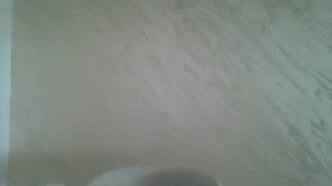 Snapshot of amongus322565 chatting on May 2026 07:48:02 AM VelvetVibe online show from May 2026 07:48:02 AM