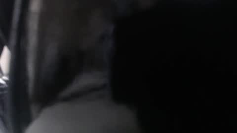 miss unforgettable online show from March 2026 11:15:01 AM