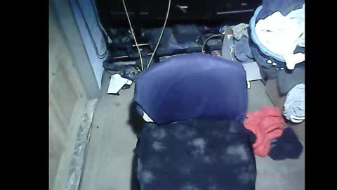 SubboyShivan online show from December 2024 11:15:02 AM