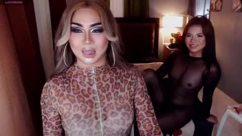 shaina online show from May 2026 05:31:01 PM