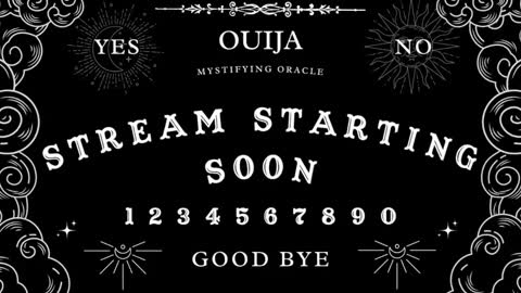 Amy 3 online show from February 2025 07:58:02 AM