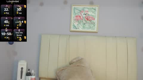 Snapshot of amy_le chatting on February 2026 01:43:01 PM Amy online show from February 2026 01:43:01 PM