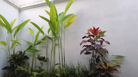 Snapshot of amyalwayshere chatting on March 2025 10:35:01 AM girl next door named Amy online show from March 2025 10:35:01 AM