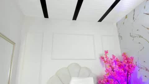 Amykord online show from October 2025 11:32:02 AM