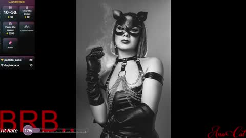 Snapshot of ana_cat chatting on February 2025 04:41:02 PM Ana online show from February 2025 04:41:02 PM