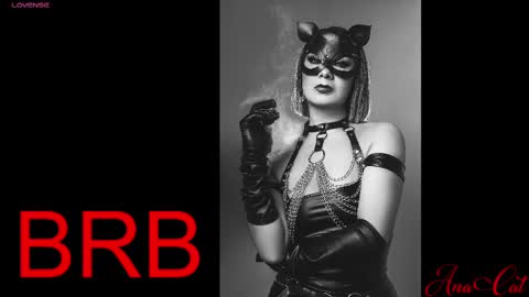 Snapshot of ana_cat chatting on March 2025 04:49:01 PM Ana online show from March 2025 04:49:01 PM