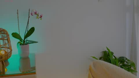 anabelcurvy online show from May 2026 09:58:02 AM