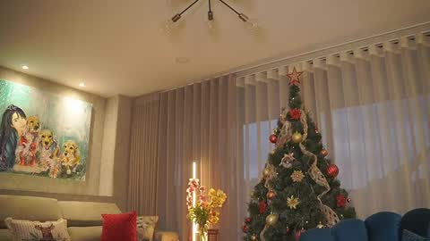 Ana  -- Check and subscribe   online show from December 2024 10:55:02 PM