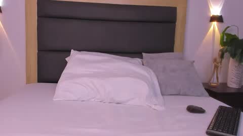 A N A online show from November 2025 07:07:02 PM