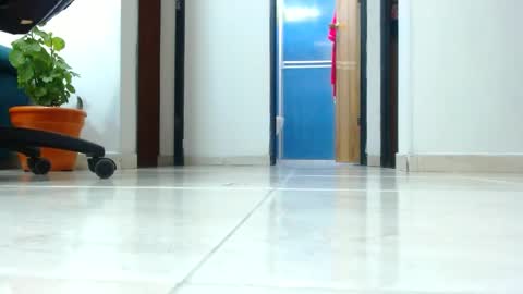 Snapshot of anaids_dam chatting on January 2025 04:18:02 AM anaids online show from January 2025 04:18:02 AM