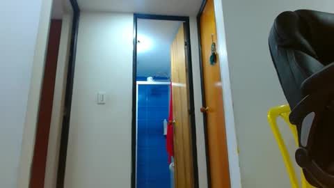 Snapshot of anaids_dam chatting on November 2025 02:30:01 PM anaids online show from November 2025 02:30:01 PM