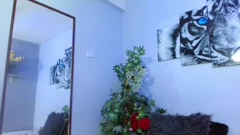 Snapshot of analia_01 chatting on February 2025 03:10:02 PM Analia online show from February 2025 03:10:02 PM