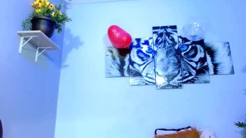 Snapshot of analia_01 chatting on February 2025 04:56:02 PM Analia online show from February 2025 04:56:02 PM