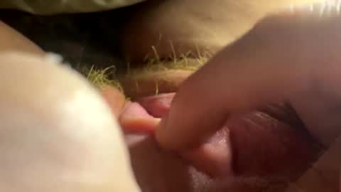 anastasia online show from February 2026 02:54:01 AM