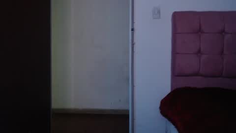 ANA online show from December 2024 11:57:01 PM