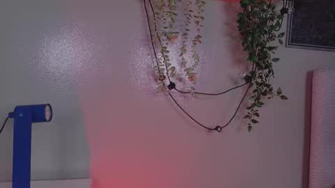 Kendra  online show from February 2026 10:34:02 AM