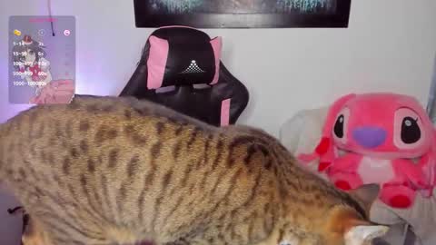 Andrea online show from March 2026 07:01:02 AM