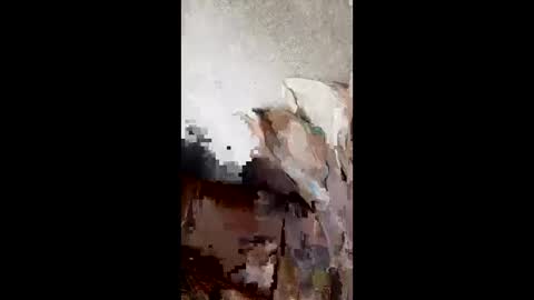 Snapshot of andresvm4796 chatting on April 2026 08:06:02 AM andresvm4796 online show from April 2026 08:06:02 AM