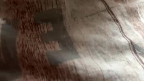 Zloy online show from October 2025 08:37:01 AM