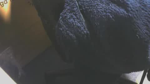 andy503503650759 online show from December 2025 08:20:01 AM