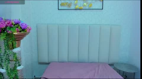 A N D Y online show from May 2026 12:00:01 PM