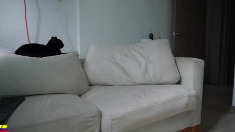 my onlyfans     online show from March 2026 07:35:01 PM