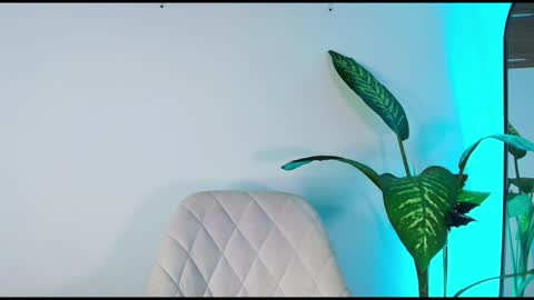 andy palmer online show from November 2025 11:44:02 AM