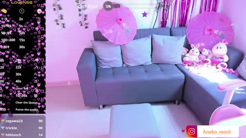 Snapshot of aneko_morii chatting on February 2025 04:58:02 PM online show from February 2025 04:58:02 PM