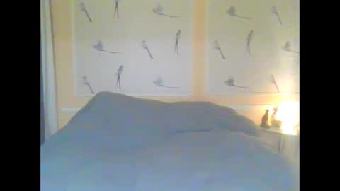 Snapshot of anessa7321 chatting on April 2026 05:21:02 PM Alinessa online show from April 2026 05:21:02 PM