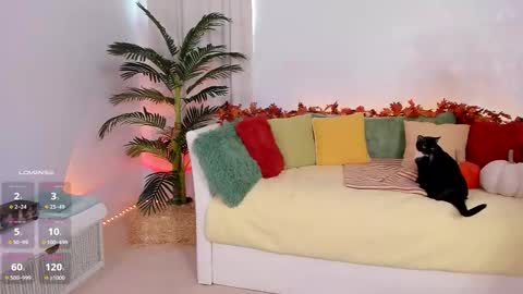 Claire - be back soon online show from November 2025 07:56:02 PM