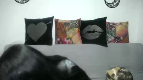  Angela  online show from March 2025 03:19:01 AM