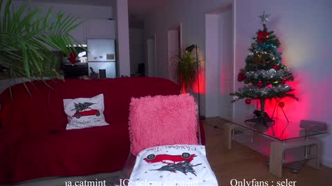 Snapshot of angelandfairieskink chatting on December 2024 07:33:02 AM Aimi Selena Daisy online show from December 2024 07:33:02 AM