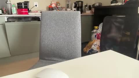 AngelHarly online show from March 2025 10:11:02 AM